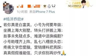 吃瓜小说娱乐圈番茄小说,番茄小说中的瓜田盛宴